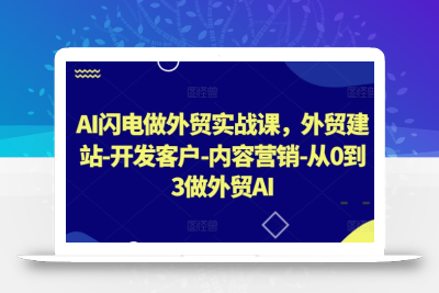 AI闪电做外贸实战课，​外贸建站-开发客户-内容营销-从0到3做外贸AI(更新)