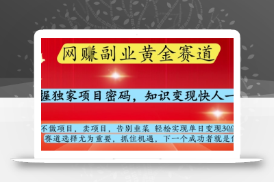 网创副业黄全赛道，掌握独家项目密码，知识变现快人一步，告别韭菜轻松实现单日变现1k+【揭秘】