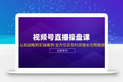 视频号直播操盘课，从认知战略到实操案例 全方位实现利润增长与势能提升