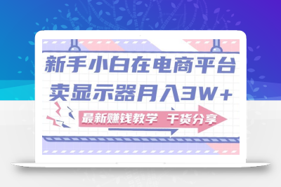 新手小白如何做到在电商平台卖显示器月入3W+，最新赚钱教学干货分享