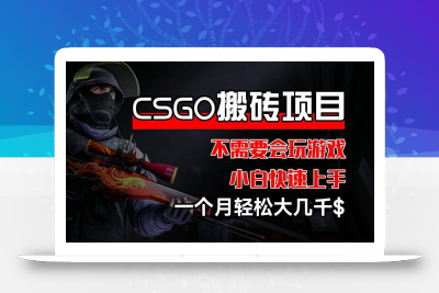 CSGO 装备搬砖项目，操作简单，不需要会玩游戏，小白也能快速上手，一个月轻松大几千【揭秘】