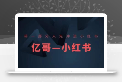 ​​带一部分人先冲进小红书，小红书开店、选品、爆款裂变