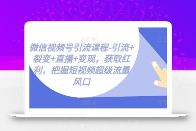 微信视频号引流课程-引流+裂变+直播+变现，获取红利，把握短视频超级流量风口