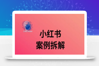 小红书案例拆解，深度解读小红书40万粉