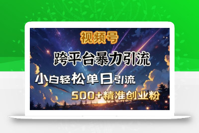 跨平台暴力引流，私域完美闭环，日引500+精准创业粉