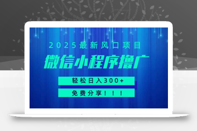 微信小程序撸广，最新风口项目，日入300+ 免费分享 可批量操作 小白可…
