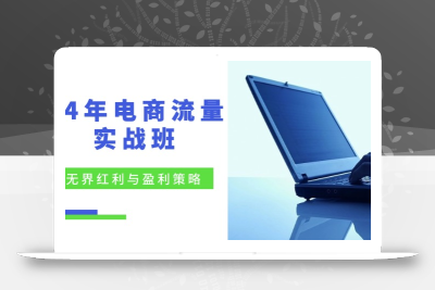 24年电商流量实战班：无界 红利与盈利策略，终极提升/关键词优化/精准…