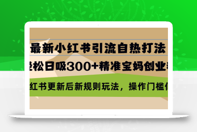 最新小红书引流自热打法，轻松日吸300+精准宝妈创业粉，小红书更新后新…