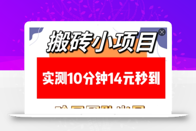 搬砖小项目，实测10分钟14元秒到，每天稳定几张(赠送必看稳定)