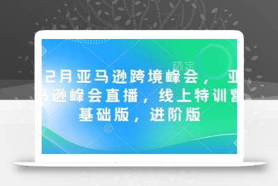 12月亚马逊跨境峰会， 亚马逊峰会直播，线上特训营基础版，进阶版
