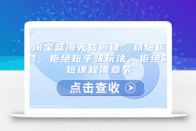 淘宝蓝海无货源课，精细运营，拒绝短平快玩法，拒绝简短课程凑章节