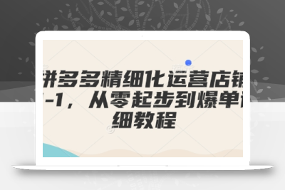 拼多多精细化运营店铺0-1，从零起步到爆单详细教程