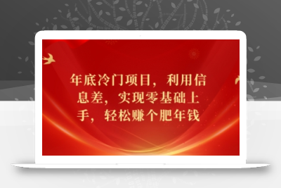 年底冷门项目，利用信息差，实现零基础上手，轻松赚个肥年钱【揭秘】