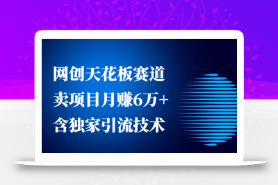 网创天花板赛道，卖项目月赚6万+，含独家引流技术(共26节课)