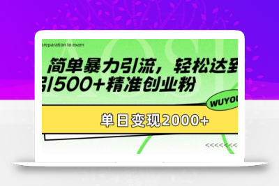 简单暴力引流，轻松达到日引500+精准创业粉，单日变现2k【揭秘】