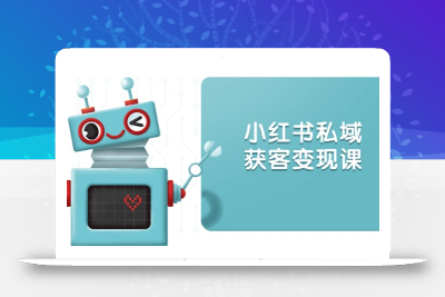 小红书私域获客变现：账号设置/内容创作/规则解读/投放策略/获客技巧等