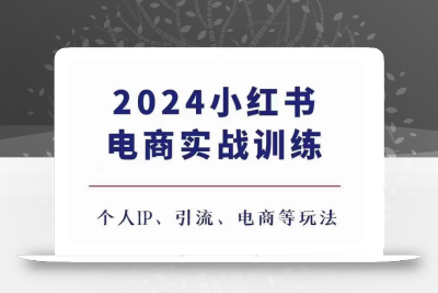 2024小红书电商3.0实战训练，包含个人IP、引流、电商等玩法