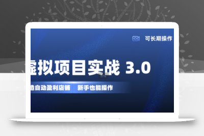 虚拟项目实战3.0，打造自动盈利店铺，可长期操作投入低，新手也能操作
