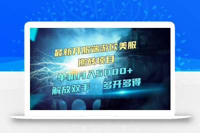 全网热门游戏欧美服端游搬砖，最新开服，项目红利期，单机月入5000+