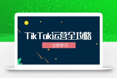 TikTok实战运营全攻略：从下载软件到变现，抖音海外版实操教程