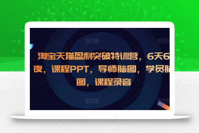 淘宝天猫盈利突破特训营，6天6夜，课程PPT，导师脑图，学员脑图，课程录音
