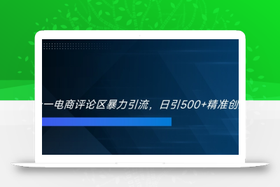 双十一电商评论区暴力引流，日引500+精准创业粉【揭秘】