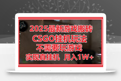 2025最新游戏搬砖，CSGO挂机，不需要玩游戏，实现真挂机，月入1W+