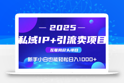 私域IP+卖项目，普通人小白也能轻松实现日入1000+