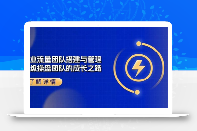 企业 流量团队-搭建与管理，亿级 操盘团队的成长之路(28节课