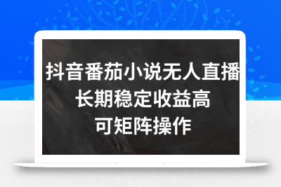 抖音番茄小说无人直播，长期稳定收益高，可矩阵操作【揭秘】