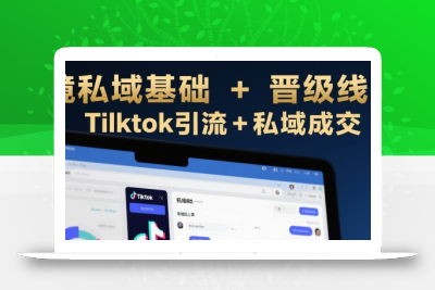 跨境私域基础+晋级线上课，Tilktok引流+私域成交