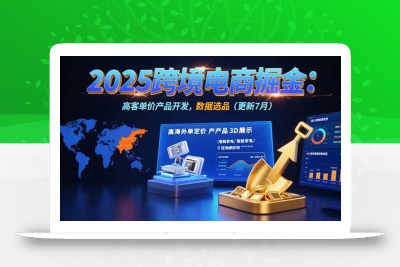 2025跨境电商掘金：蓝海市场定位，高客单价产品开发，数据选品(更新7月