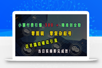小额付费引爆 300 + 精准创业粉，零剪辑、零复杂起号，话术撬动被动引流，当日实操即见成效