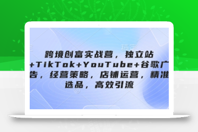 跨境创富实战营，独立站+TikTok+YouTube+谷歌广告，经营策略，店铺运营，精准选品，高效引流