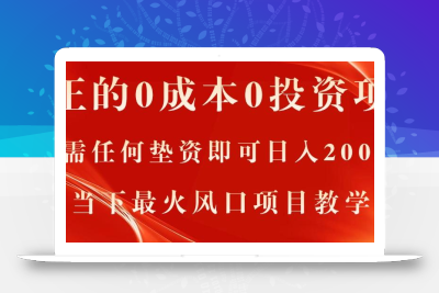 真正的0成本0投资项目，无需任何垫资即可日入2000+，当下最火风口项目教学