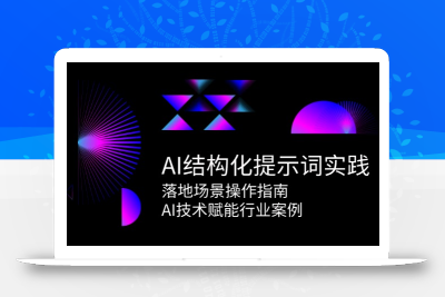 AI结构化提示词实践，落地场景操作指南，AI技术赋能行业案例