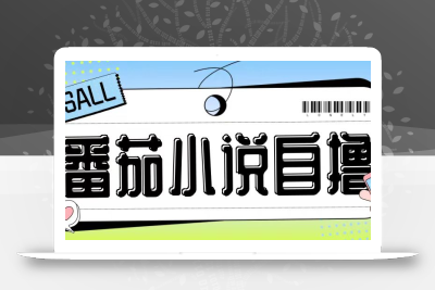 最新番茄小说自撸玩法，无需手机，无需双清，成本极低日入200+【揭秘】