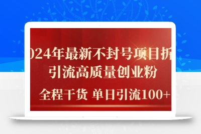 2024年最新不封号项目拆解引流高质量创业粉，全程干货单日轻松引流100+【揭秘】