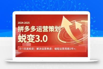 2024-2025拼多多运营策略蜕变3.0，0~1完美蜕变，解决信息焦虑