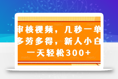 审核视频，几秒一单，多劳多得，新人小白一天轻松300+