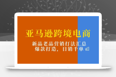 亚马逊跨境电商：新品老品营销打法汇总，爆款打造，日销千单