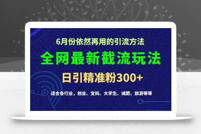 2024全网最新截留玩法，每日引流突破300+