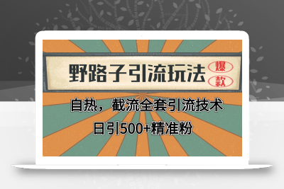 抖音小红书视频号全平台引流打法，全自动引流日引2000+精准客户