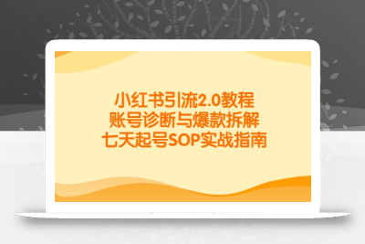 小红书引流2.0教程，账号诊断与爆款拆解，七天起号SOP实战指南