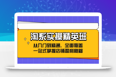 淘系实操精英班：从入门到精通，全面覆盖，一站式掌握店铺盈利秘籍