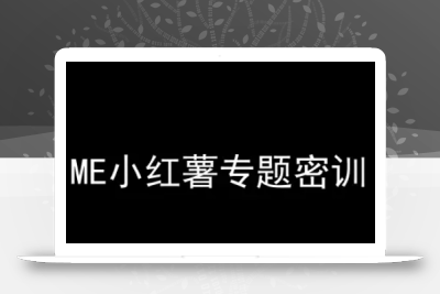 ME小红薯专题密训-小红书电商教程