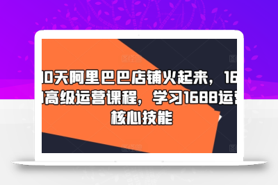 90天阿里巴巴店铺火起来，1688高级运营课程，学习1688运营核心技能