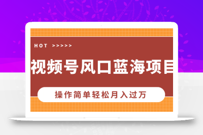 视频号风口蓝海项目，中老年人的流量密码，操作简单轻松月入过万