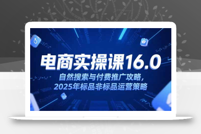 淘宝电商运营课16.0，自然搜索与付费推广攻略，2025年标品非标品运营策略