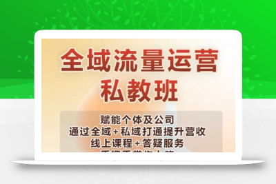 全域流量运营操盘课，赋能个体及公司通过全域+私域打通提升营收